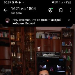 , 48, 