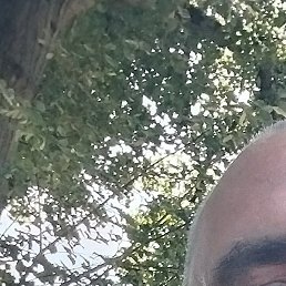 ���������, ���������, 53 ����