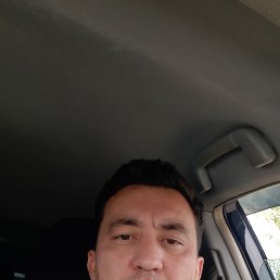 , 37, 