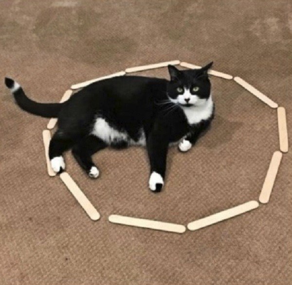   =>