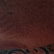 ������, 49 ���, ������