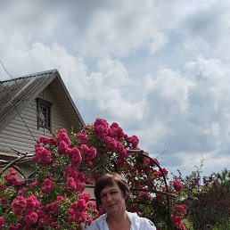 , 57, 