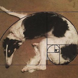 �����, �������, 23 ����