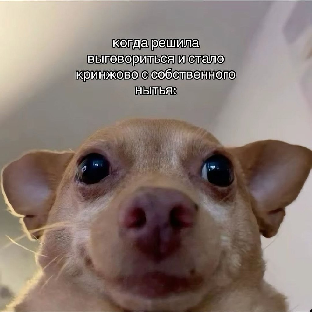 ,   !