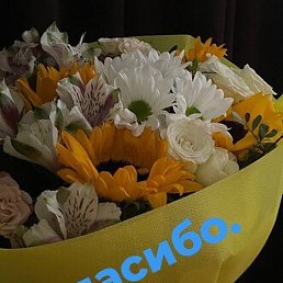 Masal, �������, 40 ���
