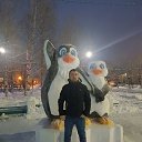 ���� ��������, ������, 36 ��� - ��������� 17 ��� 2026
