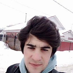 Lion, 21, 