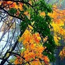  , , 53  -  14  2025   , , !!