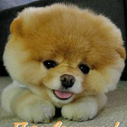 ������, ������, 54 ����