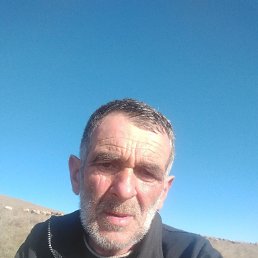 , 58, 