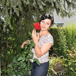 �����, 23 ����, �����������