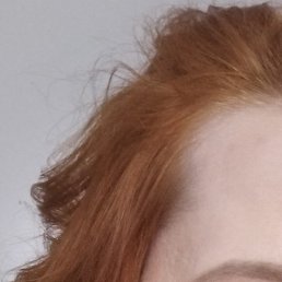 ����������, �����-���������, 44 ����