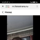  , , 55  -  19  2025    