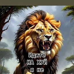 ����, �����������, 35 ���