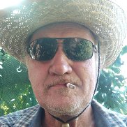 , 67 , 