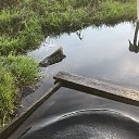 ���� �. �., ��������, 37 ��� - ��������� 6 ������� 2023 � ������ ���� ����������