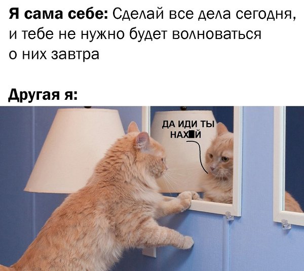    - 15  2025  16:13