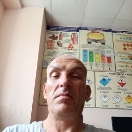 , 53, 