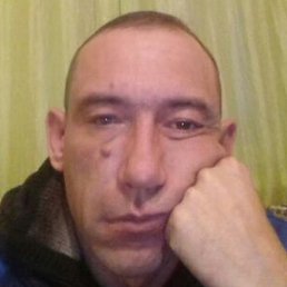 ������, ����������, 46 ���