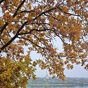 ���� �����, ������, 41 ��� - ��������� 30 ������� 2025 � ������ �������� ������� �.�������
