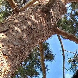 ������, �������, 46 ���