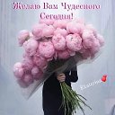 ���� ����, ������, 62 ���� - ��������� 24 ������ 2023 � ������ ���� ����������