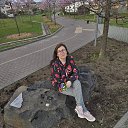 ���� �����, �����-��������� - ��������� 29 ������ 2026