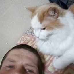 , 35, -