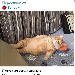 ���� �������, ����������, 41 ��� - ��������� 5 ��� 2025