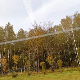  , , 62  -  4  2025