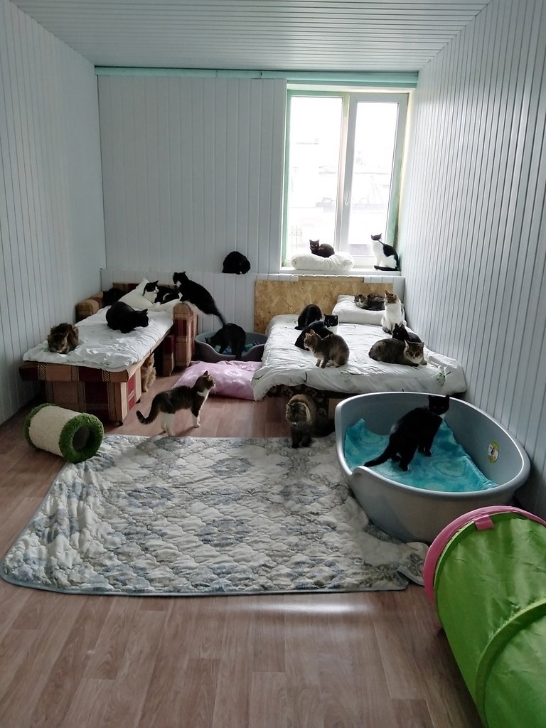     .     400     ... - 2