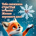 ���� ������ ���������, ������������, 48 ��� - ��������� 19 ������ 2026 � ������ ���� ����������