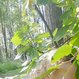 ������, ������, 66 ���