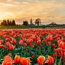 ���� �����, ������ - ��������� 30 ������ 2026 � ������ ������ ��������
