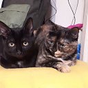 ���� ����, ������, 31 ��� - ��������� 12 ������� 2025 � ������ ���� ����������