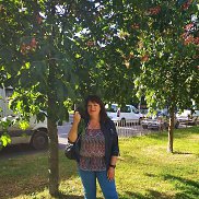 , 55 , 