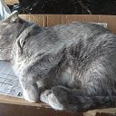 ���� �������, �����, 48 ��� - ��������� 2 �������� 2025 � ������ ������ ��������