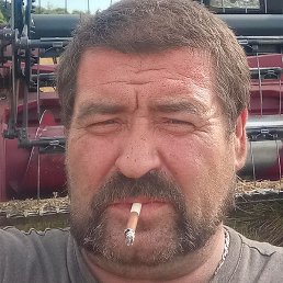 ����, ����, 46 ���