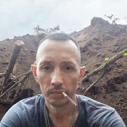 , 37, 