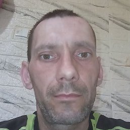 �������, ������, 41 ���