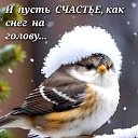 ���� ���� �������� �����, ������� - ��������� 26 ������ 2024 � ������ ������ ��������