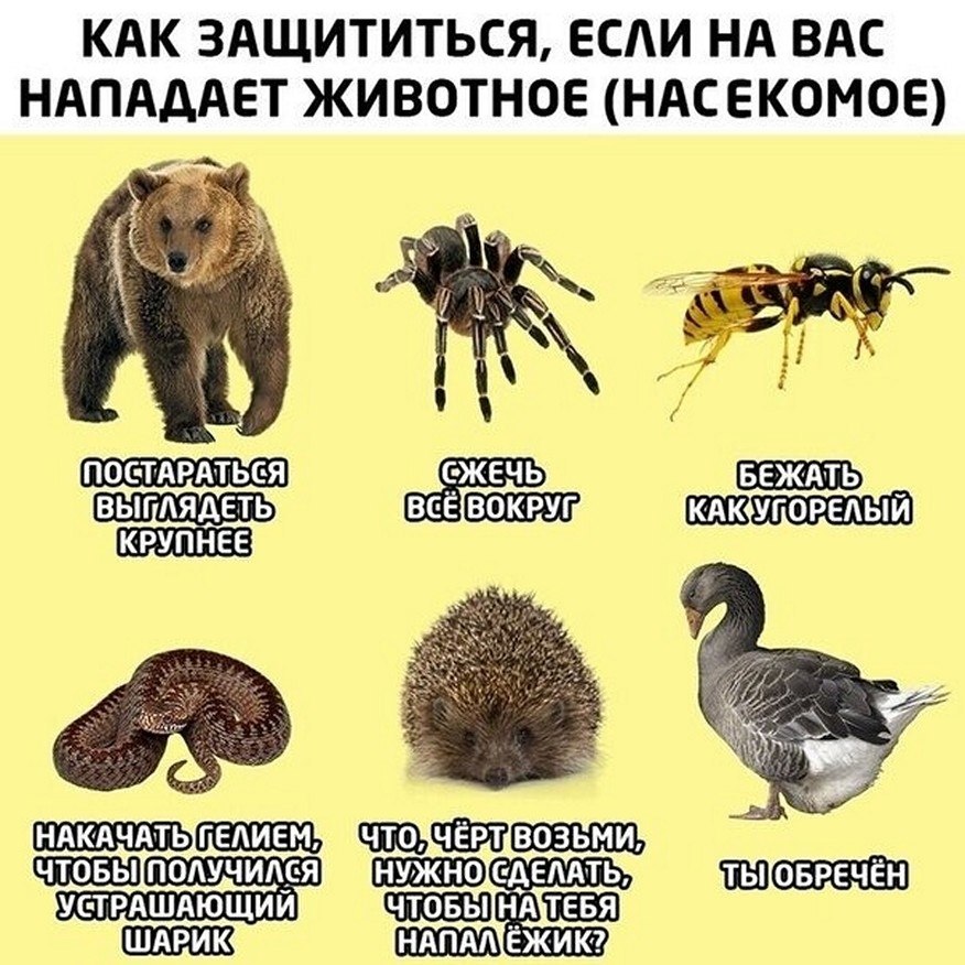 ? ,  ! - 26  2025  06:27