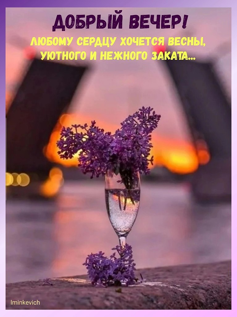   ,    . - 28  2025  19:53