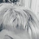 ���� ����, �����-���������, 50 ��� - ��������� 12 ����� 2026 � ������ ���� ����������