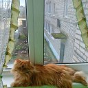 ���� ��������, ������� ��������, 64 ���� - ��������� 13 ������ 2025 � ������ ������ ��������