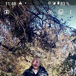 Mark Gurevich, , 55 