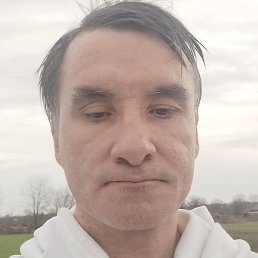 ������� 41, ���������, 43 ����