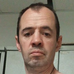 , -, 51 