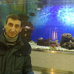 , 47, 