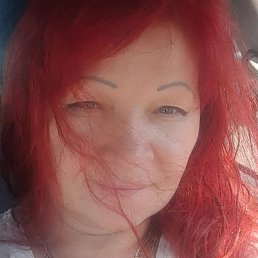 ����, ������������-��������, 48 ���